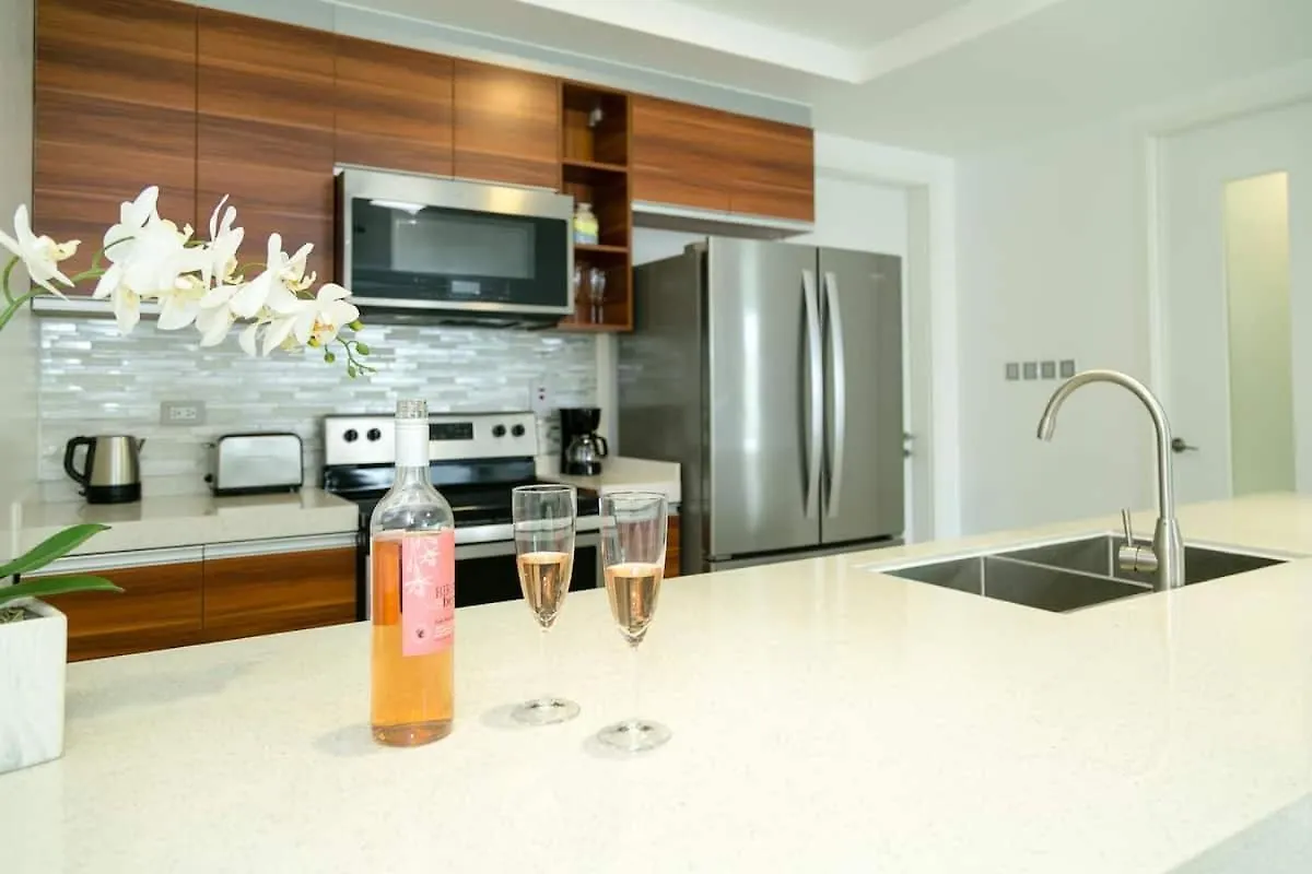 Luxury @ 20 South Ave Apartment Kingston